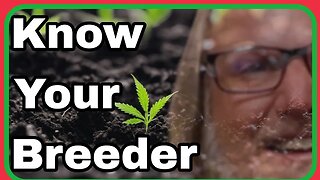 Who makes your Cannabis Seeds? "Know Your Breeder" (Dude Grows Presents Workingmanseeds)