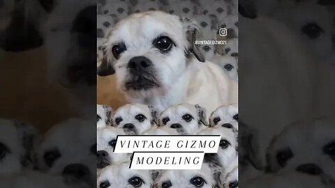 Modeling Gizmo