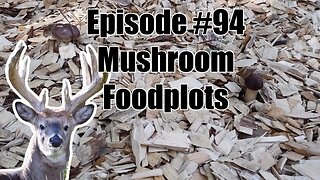 Episode #94 - Mushroom Food Plots!