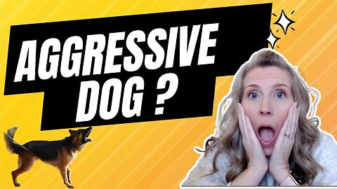 WATCH THIS If You Have An AGGRESSIVE Dog