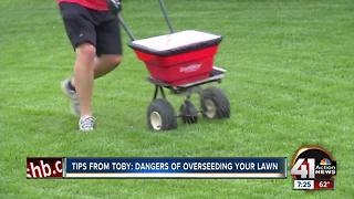 Tips from Toby: dangers of overseeding your lawn