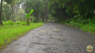 Sounds of heavy rainfall on an abandoned road - Rain sounds - Nature Sounds