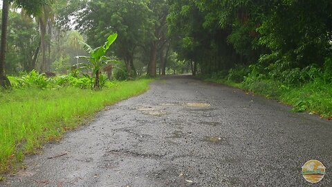 Sounds of heavy rainfall on an abandoned road - Rain sounds - Nature Sounds