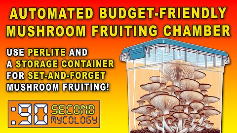 Automated Budget-Friendly Mushroom Fruiting Chamber \\ Growing Lion's Mane Mushrooms!