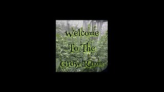Welcome To The Grow Room