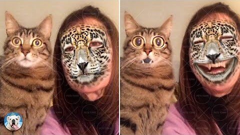 Filters Frighten Cats And Dogs - Try Not To Laugh