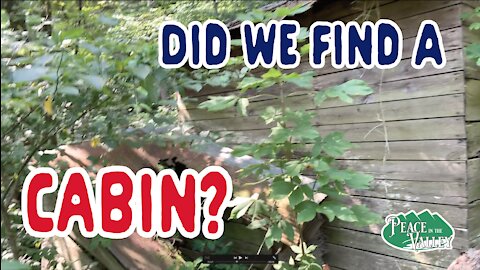 Episode 16: Did We Find a Cabin???