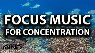 Focus Music for Better Concentration; Work, Study, Office, Ocean/Aquarium
