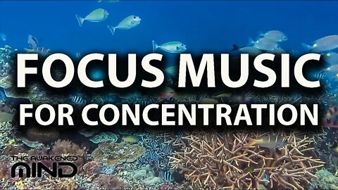 Focus Music for Better Concentration; Work, Study, Office, Ocean/Aquarium