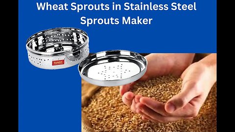How to make Sprouts at home in stainless steel Sprouts Maker | Sprouts maker review, Demo and use