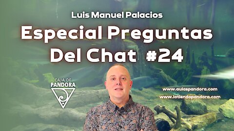 Especial preguntas del chat #24 con Luis Palacios