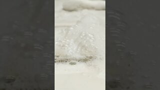 Insect Riddled Rug Clean | Satisfying Carpet Cleaning | #shorts