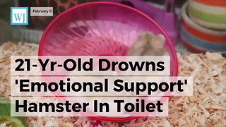 21-yr-old Drowns 'Emotional Support' Hamster In Toilet After Airline Refused To Let Pet On Plane