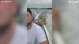 Cão diverte-se na sua primeira viagem de barco