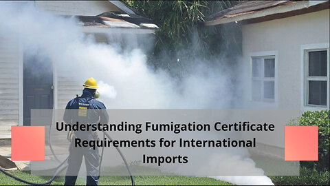Navigating Import Regulations: Countries Requiring Fumigation Certificates