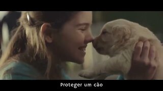 Vídeo maravilhoso,uma lição de vida