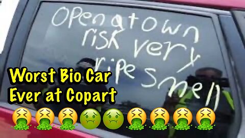 Worst Bio Hazard Smell Car Ever! COPART WALK AROUND with @NewYorkInYourCity