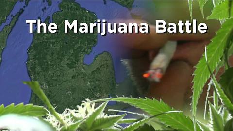 Michigan recreational marijuana legalization proposal certified by board