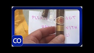 Cuban Cigars Cut Open Dissection Are They Real?