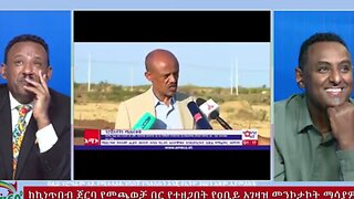 የቀንድ አውጣዋ መጨረሻ - በሀብታሙ አያሌው