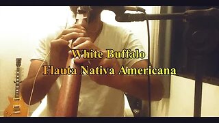 White Buffalo - Flauta Nativa Americana