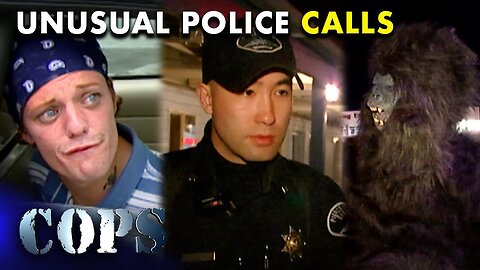 🚓🚨 Police Responses: From Motel Disturbance to Assisting a Gorilla | FULL EPISODES | Cops TV Show