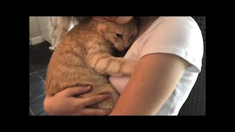 Life is better with Cat - Cat and human are best friends forever