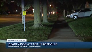 Puppy killed and 3 people hurt after dog attack in Roseville