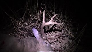 Deer Hunting | Does farting on stand scare away the deer?