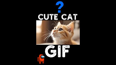 Cute Cat Gif