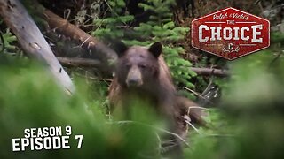 Lower 48 Western Bear n Down Adventure - The Choice (Full Episode) // S9: Episode 7