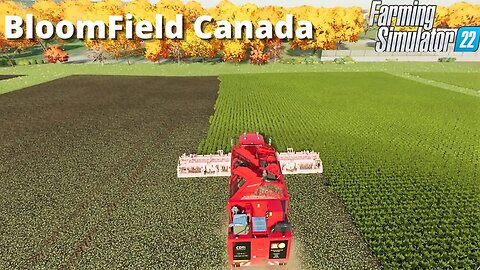 Potatoes, Beets, and the Ultimate Machines | Bloomfield Canada 41 | FS22