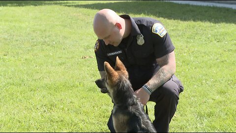 Calendar spotlights police and rescue animals to help furry friends in need
