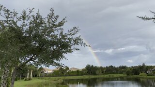 Rainbow in Paradise 4K (Widescreen)