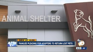 Families want dogs returned by new owners