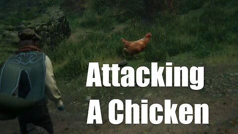 Hogwarts Legacy What Happens If You Attack A Chicken