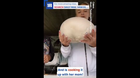 Family cooks giant mushroom