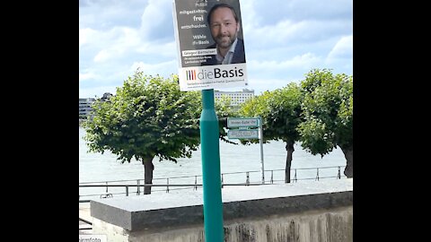 Werbung für "dieBasis", Ortsverband Bonn