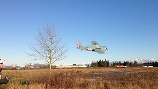 Parkzone F4F Wildcat - Great Flight!