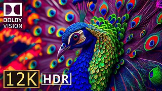 12K HDR 60fps Dolby Vision with Animal Sounds & Calming Music (Colorful Dynamic) #2