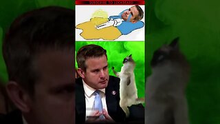 KINZINGER CRIES FOR CATTURD