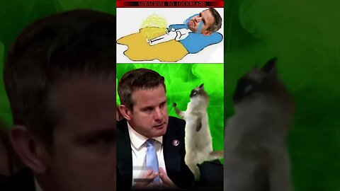 KINZINGER CRIES FOR CATTURD