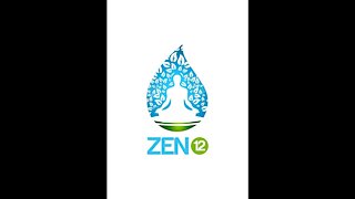 If You Don't Think You Have Time to Meditate, Give This a Try -- Zen12 Meditation Program Review