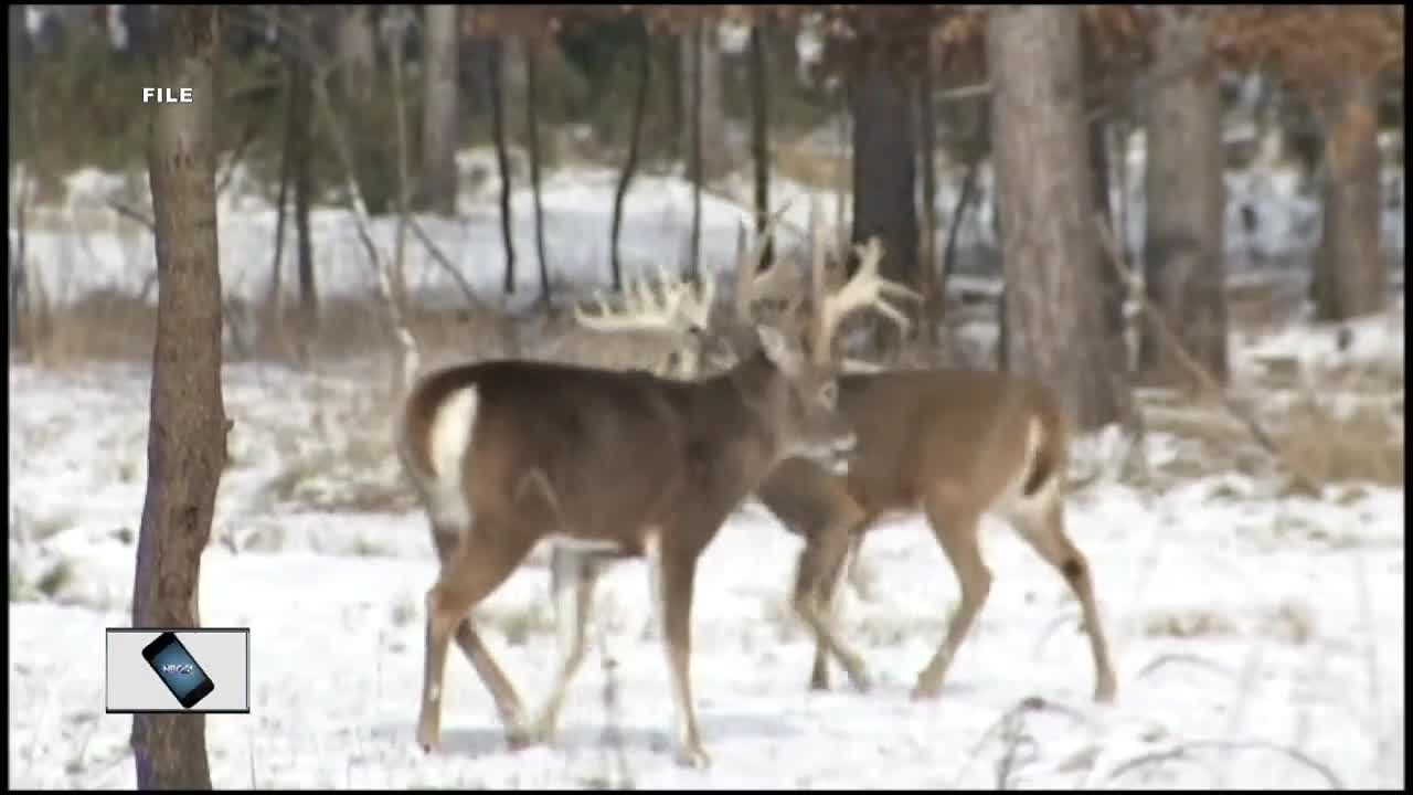 The serious consequences of an illegal deer hunt