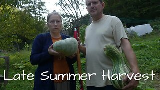 End of Summer HARVEST 2022 | The GOOD and the BAD