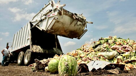 France Bans Supermarkets From Throwing Out & Wasting Food