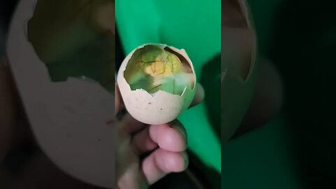 sweet balut