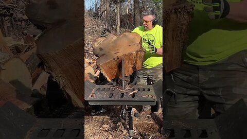 Busting Down Big Oak #firewood #wood #woodhound