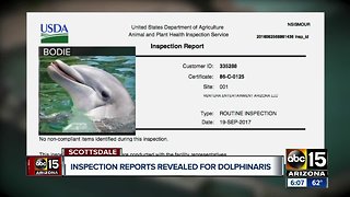 USDA inspections found no problems at Dolphinaris