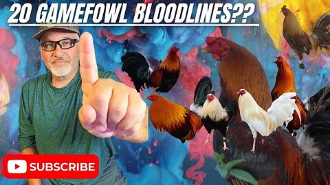 HOW LWF Has Maintained 20 Gamefowl Bloodlines And How You Can Too